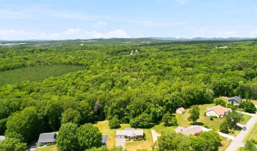 Photo #50 of 419 Holly Hills Drive, Altavista, VA 0.7 acres