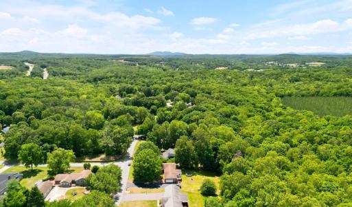 Photo #53 of 419 Holly Hills Drive, Altavista, VA 0.7 acres