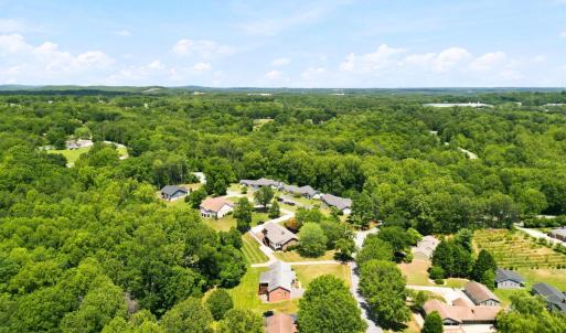 Photo #51 of 419 Holly Hills Drive, Altavista, VA 0.7 acres