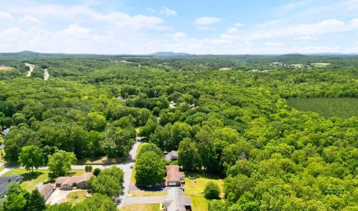 Photo #53 of 419 Holly Hills Drive, Altavista, VA 0.7 acres