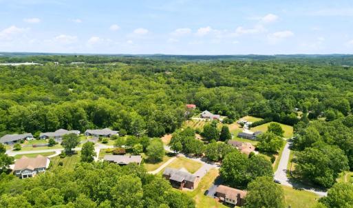 Photo #52 of 419 Holly Hills Drive, Altavista, VA 0.7 acres