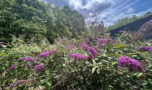 Photo #23 of 1098 Clear Springs Rd, Montvale, VA 0.7 acres