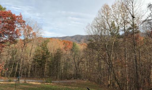 Photo #78 of 1019 Wagon Trail Road, Monroe, VA 7.9 acres
