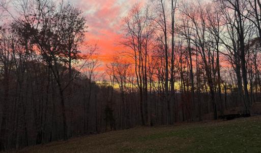 Photo #79 of 1019 Wagon Trail Road, Monroe, VA 7.9 acres