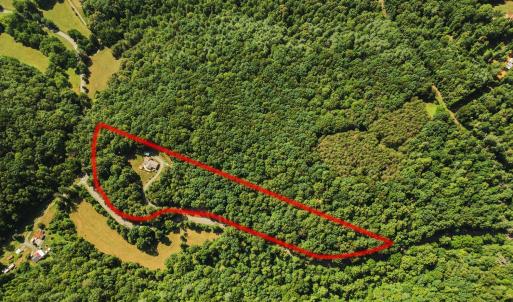 Photo #4 of 1019 Wagon Trail Road, Monroe, VA 7.9 acres