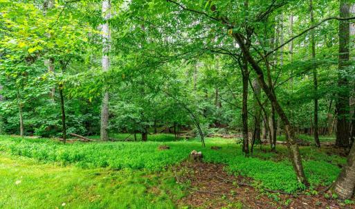 Photo #60 of 330 Hiley Terrace, Lynchburg, VA 1.9 acres