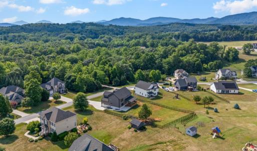 Photo #67 of 1248 Destiny Lane, Forest, VA 0.5 acres