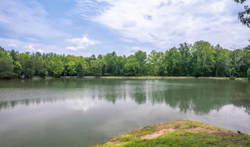 Photo #82 of 3073 Jones Ferry Road, South Boston, VA 23.5 acres