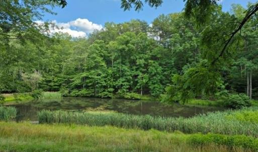 Photo #2 of 1243 Thornbird Place, Huddleston, VA 5.0 acres