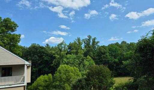 Photo #10 of 1243 Thornbird Place, Huddleston, VA 5.0 acres