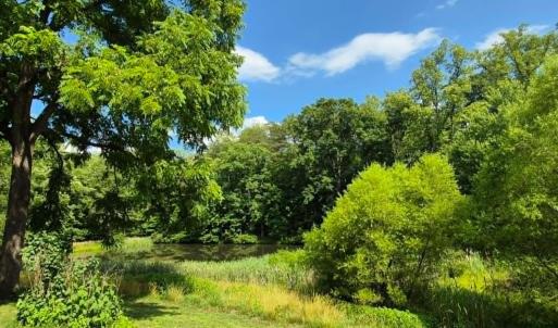 Photo #7 of 1243 Thornbird Place, Huddleston, VA 5.0 acres