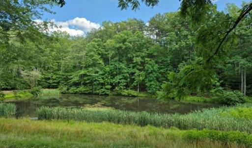 Photo #2 of 1243 Thornbird Place, Huddleston, VA 5.0 acres