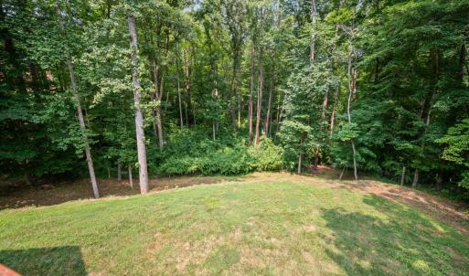 Photo #70 of 199 Irvington Springs Road, Lynchburg, VA 2.6 acres