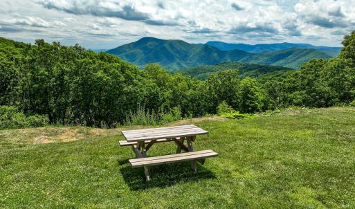 Photo #83 of 740 Laurelwood, Wintergreen, VA 0.1 acres