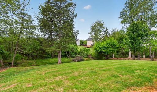 Photo #67 of 1079 Wills Way, Forest, VA 0.6 acres