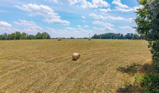 Photo #93 of 7655 Hat Creek Road, Brookneal, VA 370.4 acres