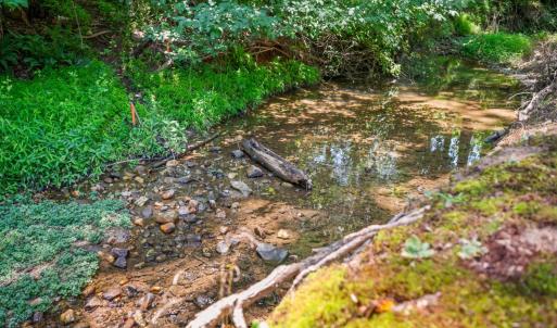 Photo #39 of 50 Laurel Lane, Lynchburg, VA 0.6 acres