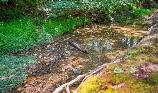 Photo #39 of 50 Laurel Lane, Lynchburg, VA 0.6 acres