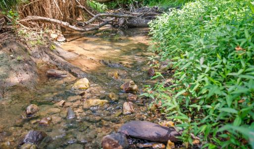 Photo #40 of 50 Laurel Lane, Lynchburg, VA 0.6 acres