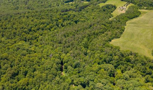Photo #17 of 459 Iron Ridge Lane, Lynchburg, VA 45.2 acres