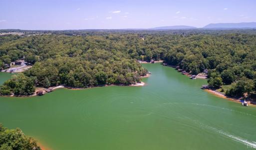 Photo #38 of 105 Whisperridge Ct, Moneta, VA 2.8 acres