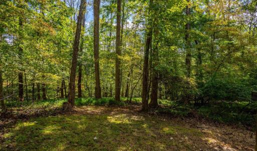 Photo #20 of 105 Whisperridge Ct, Moneta, VA 2.8 acres