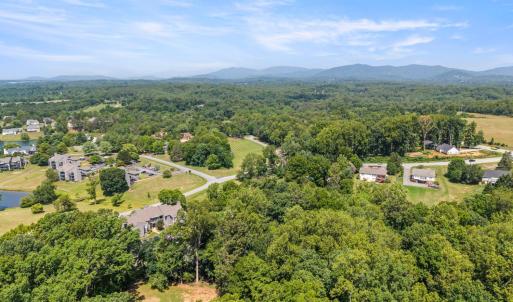Photo #42 of 1321 Twin Springs Court, Forest, VA