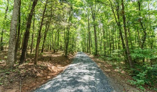 Photo #79 of 1370 Moonlight Road, Appomattox, VA 186.6 acres