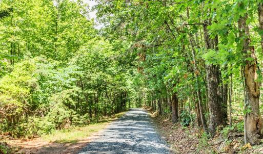 Photo #80 of 1370 Moonlight Road, Appomattox, VA 186.6 acres