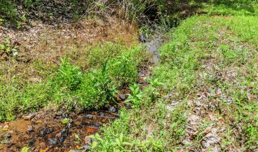 Photo #89 of 1370 Moonlight Road, Appomattox, VA 186.6 acres