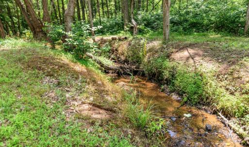 Photo #88 of 1370 Moonlight Road, Appomattox, VA 186.6 acres