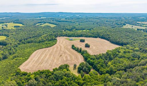 Photo #95 of 1370 Moonlight Road, Appomattox, VA 186.6 acres