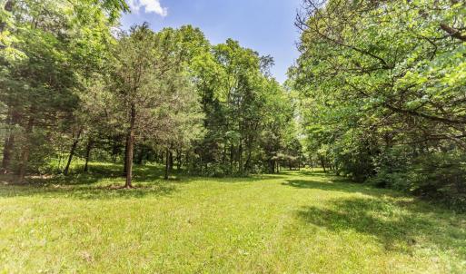 Photo #90 of 1370 Moonlight Road, Appomattox, VA 186.6 acres