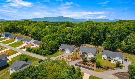 Photo #56 of 59 Patrick Court, Madison Heights, VA 0.3 acres