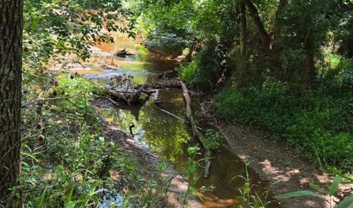 Photo #6 of 3578 Gregory Lane, Lynchburg, VA 0.8 acres