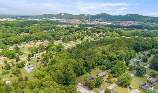 Photo #50 of 509 Atlanta Avenue, Lynchburg, VA 1.5 acres