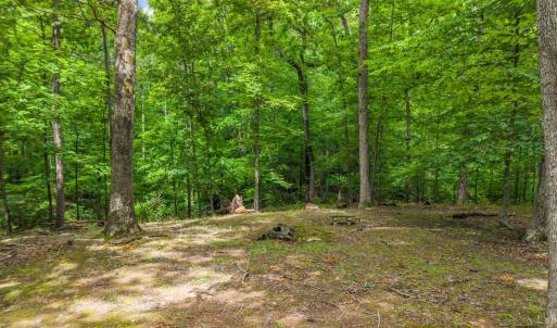 Photo #51 of 971 Rothowood Road, Lynchburg, VA 2.5 acres