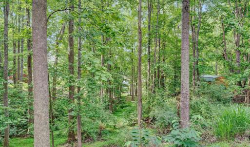 Photo #29 of 1113 Striper Court, Moneta, VA 0.6 acres