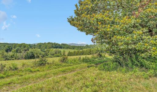 Photo #30 of 1198 Gumtree Road, Forest, VA 158.8 acres