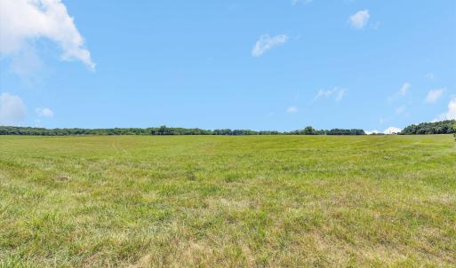 Photo #32 of 1198 Gumtree Road, Forest, VA 158.8 acres
