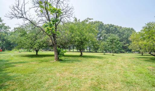 Photo #39 of 6385 Marysville Road, Gladys, VA 76.2 acres