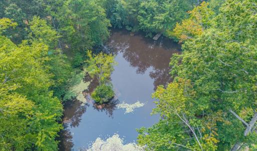 Photo #83 of 6385 Marysville Road, Gladys, VA 76.2 acres