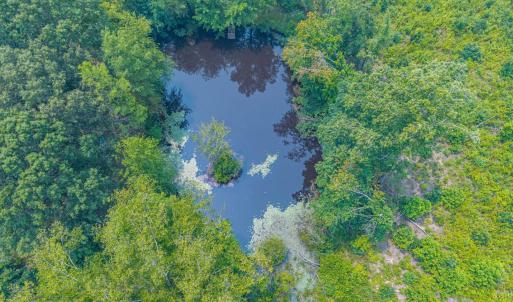 Photo #82 of 6385 Marysville Road, Gladys, VA 76.2 acres