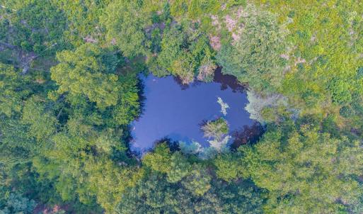 Photo #59 of 6385 Marysville Road, Gladys, VA 76.2 acres