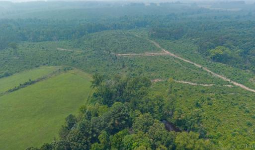Photo #56 of 6385 Marysville Road, Gladys, VA 76.2 acres