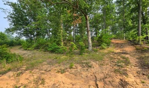 Photo #26 of 407 Daybreak Terrace, Hurt, VA 13.8 acres