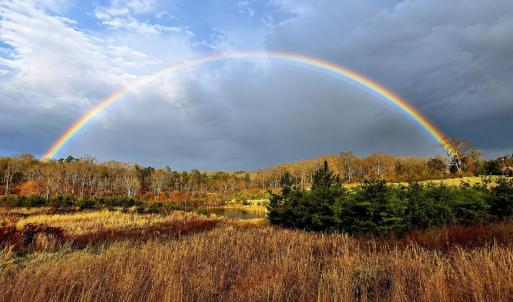 Photo #25 of 407 Daybreak Terrace, Hurt, VA 13.8 acres