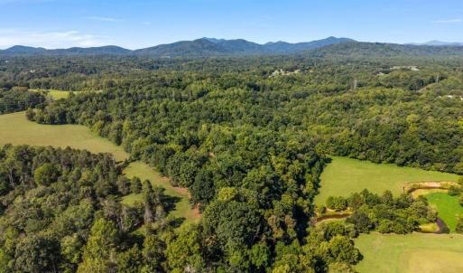 Photo #53 of 966 Cherry Hill Road, Amherst, VA 24.7 acres