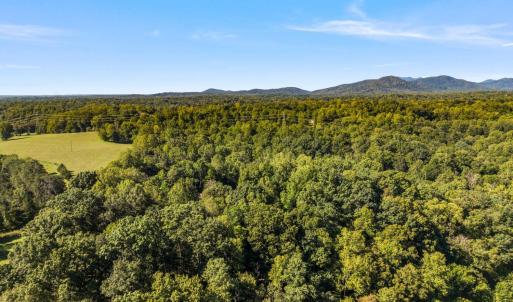Photo #51 of 966 Cherry Hill Road, Amherst, VA 24.7 acres