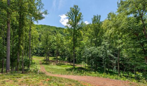 Photo #7 of 1614 Venturous Trail, Goode, VA 29.6 acres